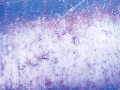 MA blue and purple